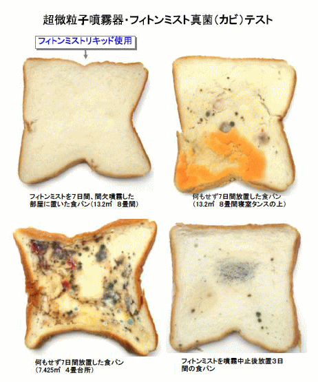 除菌 カビテスト